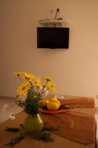 TV a/nebo společenská místnost v ubytování Apartmani Božana Viganj