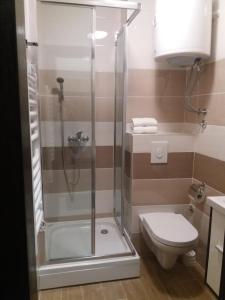 La salle de bains est pourvue d'une douche et de toilettes. dans l'établissement Centar! Lara Zlatibor, à Zlatibor