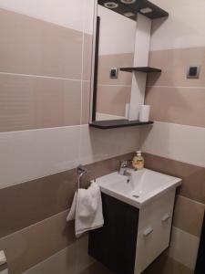La salle de bains est pourvue d'un lavabo et d'un miroir. dans l'établissement Centar! Lara Zlatibor, à Zlatibor