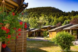 a group of wooden cabins with a mountain in the background at camping du haut des bluches in La Bresse