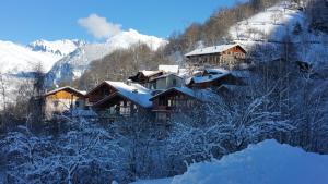 Chalet ZenArcs v zimě