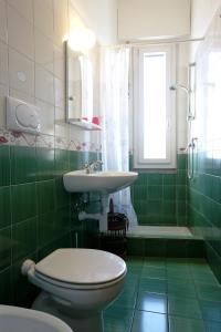 a green bathroom with a toilet and a sink at Villa Camelia in Verbania