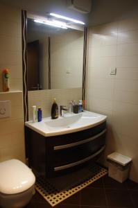 a bathroom with a sink and a toilet and a mirror at Apartment Verano in Njivice +49 photos