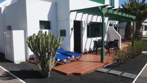 un cactus di fronte a una casa con una sedia blu di Bungalow Franck a Puerto del Carmen