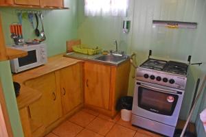 cocina con fogones, fregadero y microondas en Cabañas Patagonia Insitu, en Puerto Natales