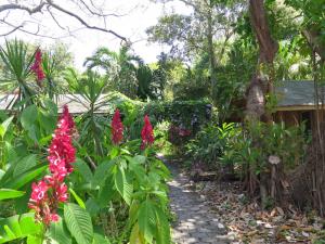 Un jardín fuera de Hotel Chillies and Native Sons Diving