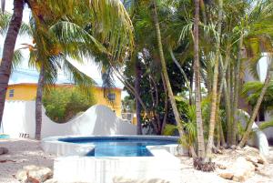 uma piscina com escorrega num quintal com palmeiras em BnBBonaire near the ocean em Kralendijk