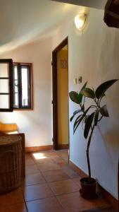 Зображення з фотогалереї помешкання Hostel Merlin у Чеському Крумлові
