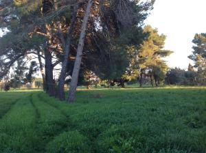 Vonkajšia záhrada v ubytovaní Villa di Campagna Santa Giulia