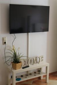 a flat screen tv on a white table with a plant at Ferienwohnung Nienhagen in Ostseebad Nienhagen