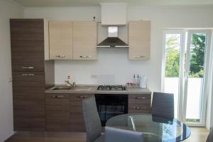 Kuchyň nebo kuchyňský kout v ubytování Apartment Krista Tinjan