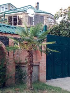 a palm tree next to a brick building with a blue gate at Green House in Kachretʼi