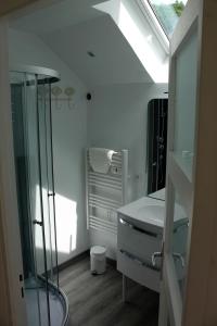 Gîte LE JARDINIER tesisinde bir banyo
