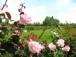 Zahrada ubytování Agriturismo Cascina Aguzza