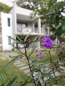 גינה חיצונית ב-Valmarin Seafront Apartments