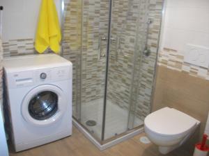 un bagno con lavatrice e WC di Gli dei e le Rose ad Agerola Altre 36 foto