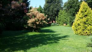 trawnik z drzewami i cieniami na trawie w obiekcie Kwiatowa Zagroda w Białowieży