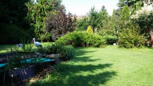 Gallery image of Kwiatowa Zagroda in Białowieża