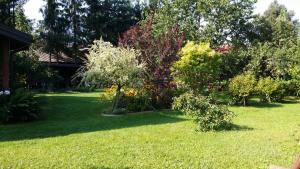 Gallery image of Kwiatowa Zagroda in Białowieża