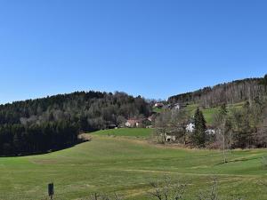 a large green field with houses on a hill at Holiday home in Rattersberg Bavaria with terrace in Viechtach