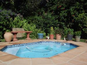 a small swimming pool with a bench and a table at Fig Tree Manor Self Catering in Blythedale