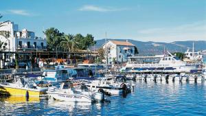 a group of boats docked at a dock in the water at Villa Lachi in Polis Chrysochous