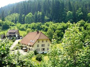 una casa grande en medio de un bosque en Country style flat with garden, en Triberg