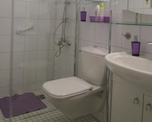 bagno bianco con servizi igienici e lavandino di Ferienwohnung Bambusgarten a Mössingen