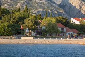 a bird flying over a body of water at Kuća za odmor Perić in Seline