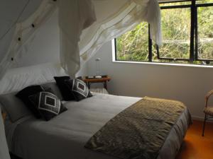 a bedroom with a bed and a large window at Rangimarie Anaura Bay Beachstay in Anaura Bay