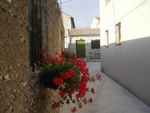 Fotografia z galérie ubytovania Small stone house Luka v destinácii Zadar
