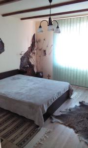 a bedroom with a large bed in a room at Casa Cosmin in Dobra