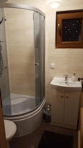 een badkamer met een douche en een wastafel bij Domki u Asi in Wilkasy