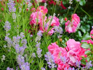 Fotografie z fotogalerie ubytování Ferienwohnung Meyer v destinaci Schönwald + 4 fotografie