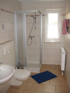 a bathroom with a shower and a toilet and a sink at Ferienwohnung Meyer in Schönwald