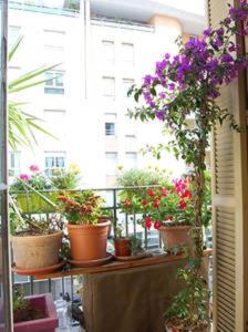eine Gruppe Topfpflanzen auf einem Balkon in der Unterkunft Nissa la Bella in Nizza