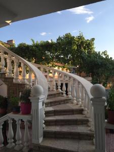科爾察的住宿－Vila Ridvani，楼梯通往种有盆栽植物的房子