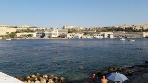 a group of people swimming in a body of water at Sharel in Msida