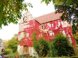 una vieja casa con hiedra roja creciendo en ella en Ferienwohnung am Wanderweg en Aidhausen