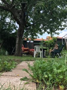Zahrada ubytování Ferienhaus Krähmer