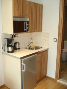 Kuchyň nebo kuchyňský kout v ubytování Elements Rooms & Apartments
