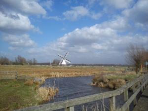 un moulin à vent au milieu d'un champ avec une rivière dans l'établissement Bed & Breakfast Glimmen, à Glimmen