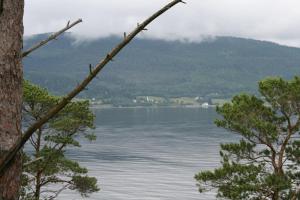 een uitzicht op een waterlichaam met bomen bij Tråsåvika Camping in Viggja