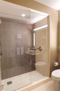 a glass shower in a bathroom with a toilet at Hyatt Regency Chicago in Chicago