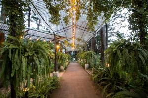 a greenhouse with plants and lights in it at Cabaña Suiza in Guatemala