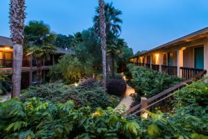 a hotel courtyard with trees and plants at El Pueblo Inn in Sonoma