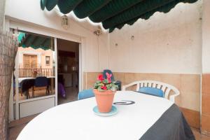 a table with a flower pot on top of it at El Cascabel in Granada