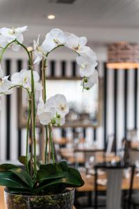 un vase rempli de fleurs blanches sur une table dans l'établissement Bay Plaza Hotel, à Wellington 29 autres photos
