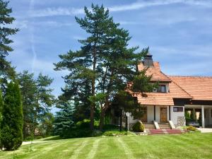 Zahrada ubytování KRALjEVI KONACI ZLATIBOR