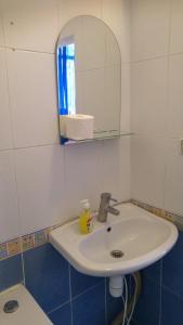 ein Badezimmer mit einem Waschbecken, einem Spiegel und einem WC in der Unterkunft Apartment on Horodetskoho 4 in Kiew